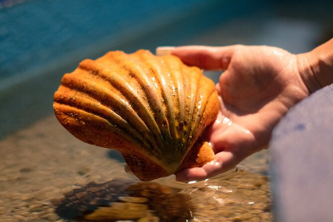 Corfu Aquarium Ticket with Tour Included - Who will enjoy this aquarium most?