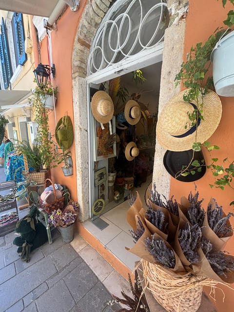 Corfu: Dog Sightseeing Tour - Meeting Outside Hotel Arcadion