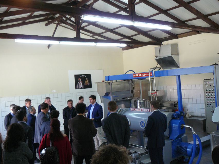 Corfu: Olive Oil Experience - The Governor's Olive Mill - The drive from Corfu to the mill