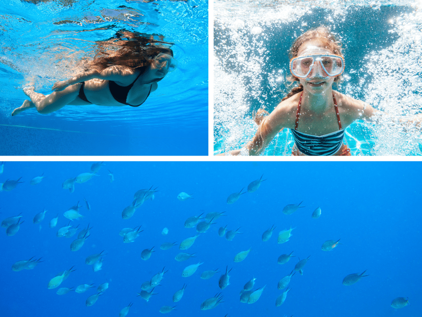Corfu: Paxos Island Full-Day Cruise with Blue Caves - Should you book the Paxos and Blue Caves cruise?