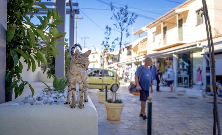 Corfu: Shore & Shared Tour – Kassiopi & Canal d’Amour - Guides make or break a shared tour
