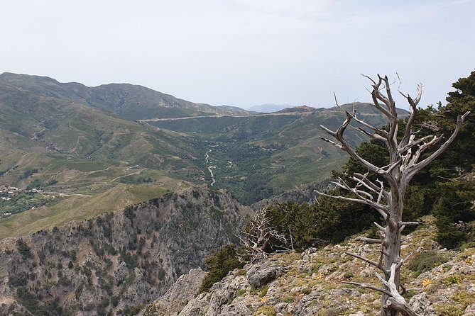 Cretan Safari – 4x4 Adventure to Preveli Beach with Lunch - Potamon Dam and the Amari Valley