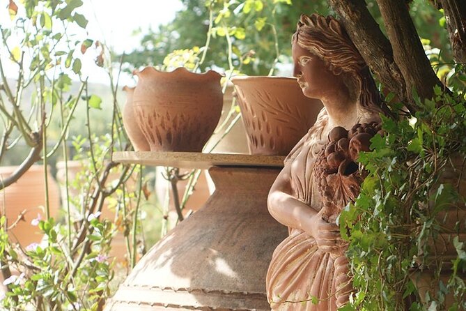 Cretan Wines & Olive oil tour - The treasures of Crete - Stironas: the raki stop that anchors the day