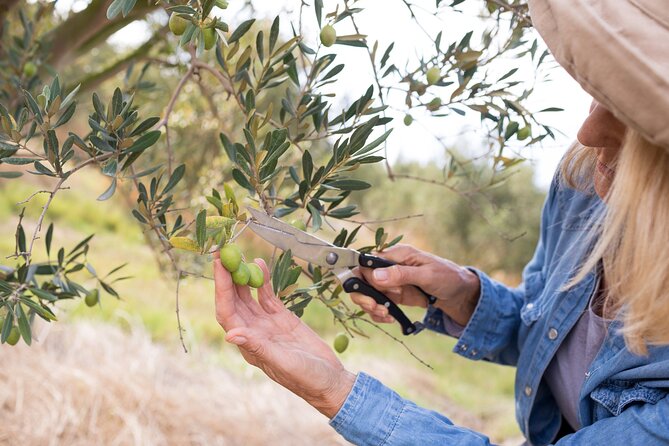 Cretan Wines & Olive oil tour - The treasures of Crete - Thrapsano: pottery and the Minoan connection