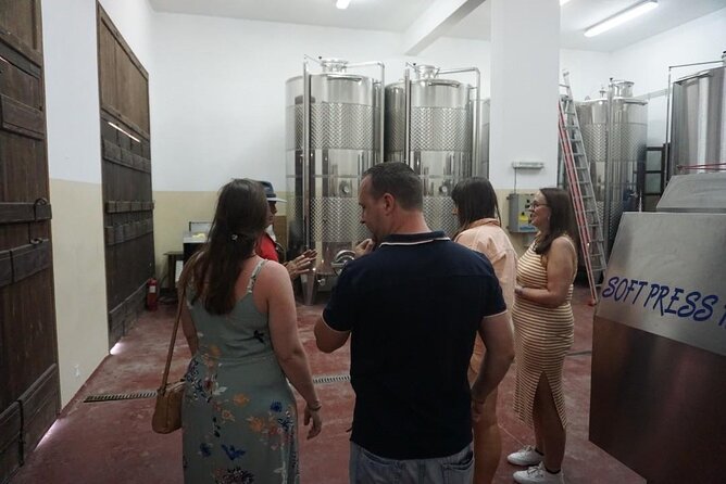 Cretan Wines & Olive oil tour - The treasures of Crete - Timing, pickup, and practical planning