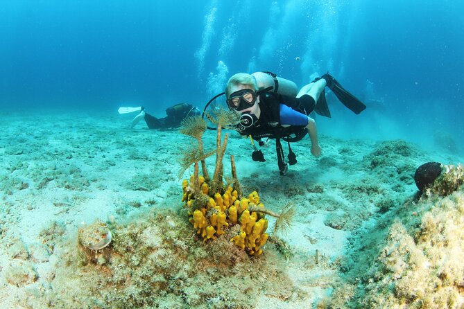 Crete-Chania: Snorkeling & Scuba Dive for Beginners by Boat - Setting out from Chania for a four-hour sea outing