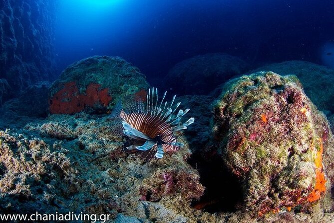 Crete-Chania: Snorkeling & Scuba Dive for Beginners by Boat - Why mixed groups make this outing work