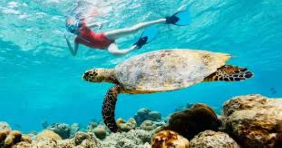 Crete: Coastline Snorkeling Cruise from Hersonissos Port - Snorkeling: pleasant, but keep expectations modest