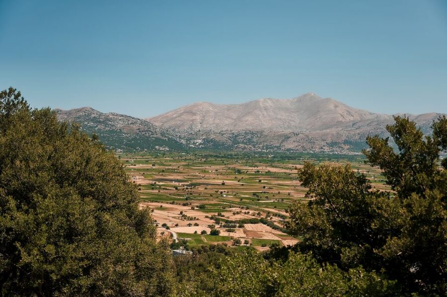 Crete: Knossos Palace and Lassithi Plateau Day Tour - What the 56 dollar price really buys you