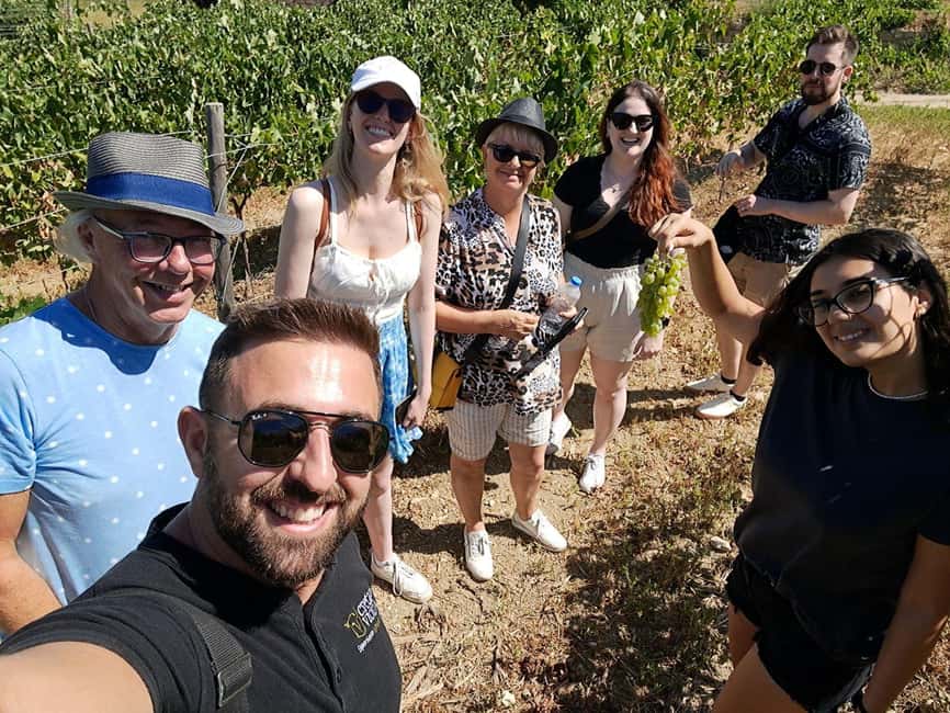 Crete: Knossos Palace, Winery & Olive Oil Tour with Lunch - Who should book this experience?