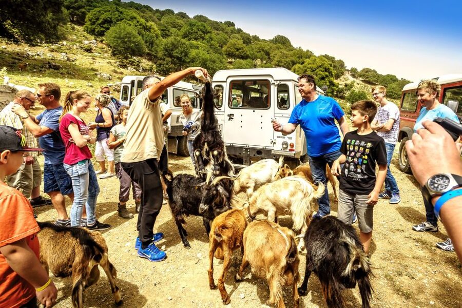 Crete: Land Rover Safari on Minoan Route - Key points before you book