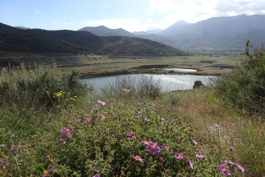 Crete: Land Rover Safari on Minoan Route - Krassi, the ancient tree, and the road to the sea