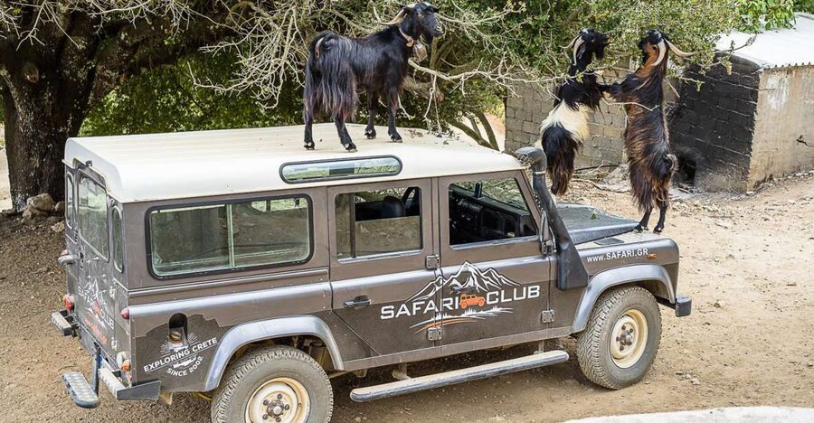 Crete: Land Rover Safari on Minoan Route - Kastamonitsa and the taste of raki