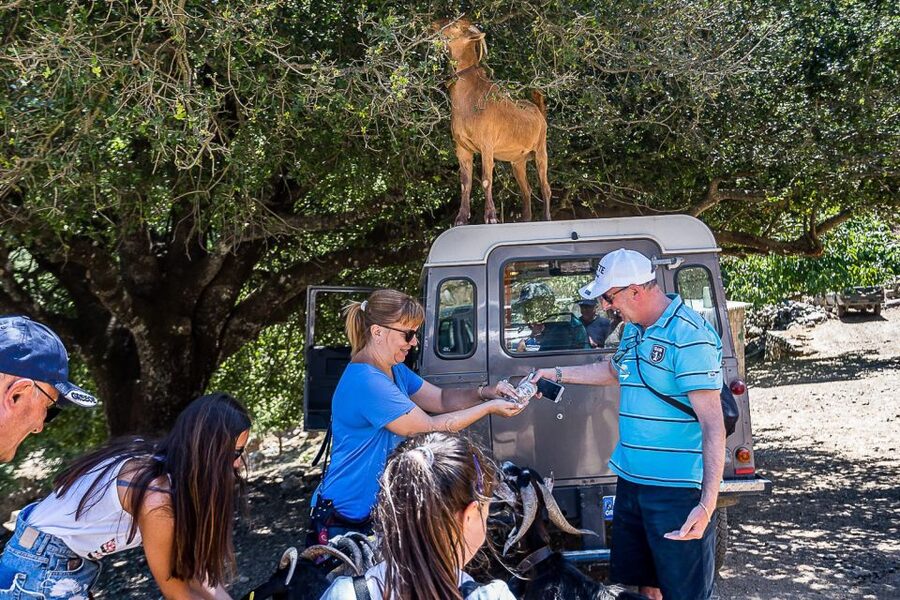 Crete: Land Rover Safari on Minoan Route - Bumpy tracks along the old Minoan Path