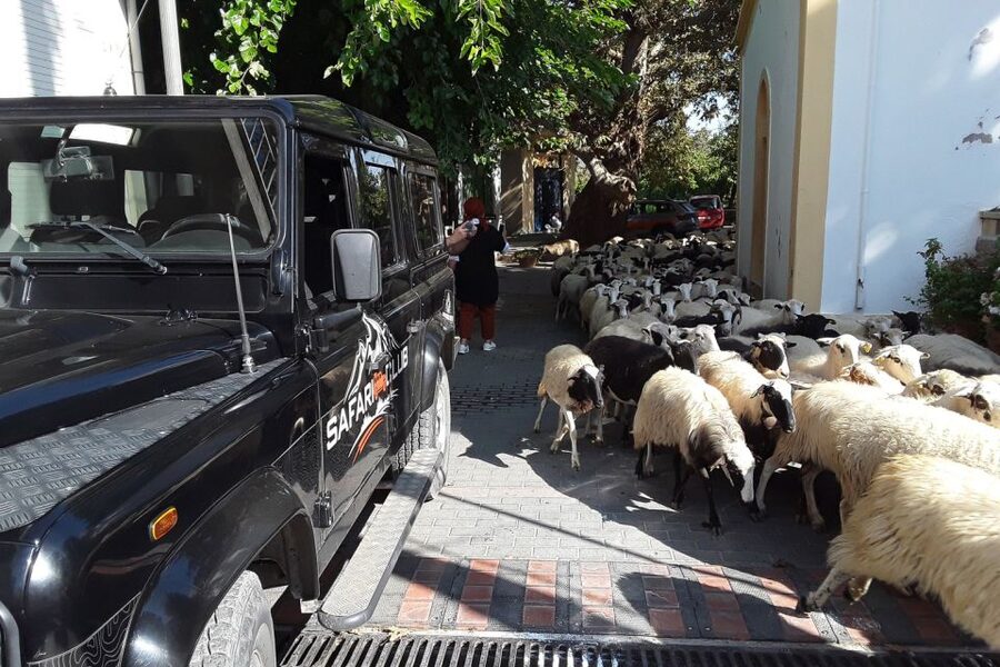 Crete: Land Rover Safari on Minoan Route - Greek mythology on the mountain route