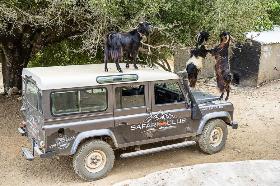 Crete: Land Rover Safari on Minoan Route - From your hotel to the Aposelemis Basin