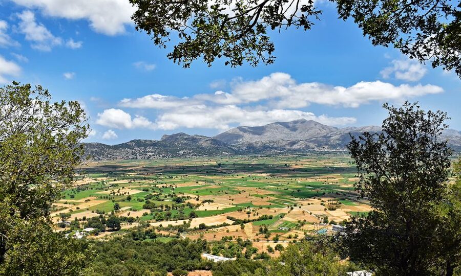 Crete: Lasithi Plateau & Knossos Palace Day Trip - Knossos Palace with a 90-minute guided visit