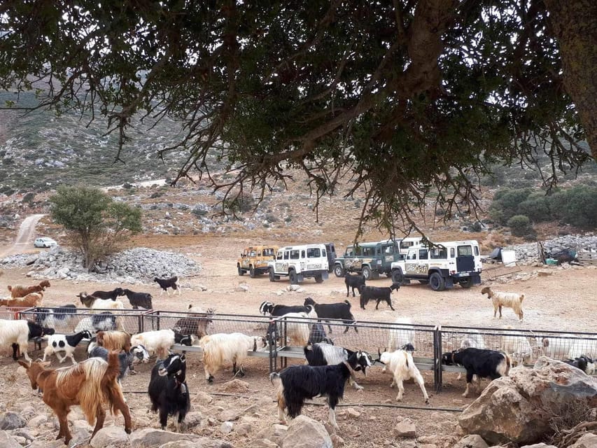 Crete: Lasithi Plateau Zeus Cave Guided Jeep Safari Tour - Krasi adds a traditional village pause