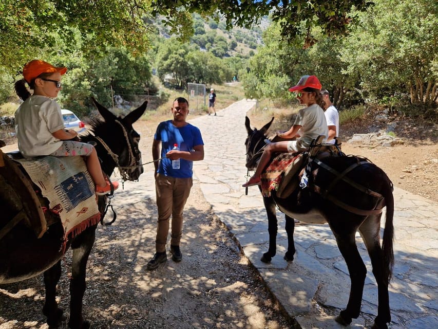 Crete: Lasithi Plateau Zeus Cave Guided Jeep Safari Tour - The afternoon off-road section is the tour’s big payoff