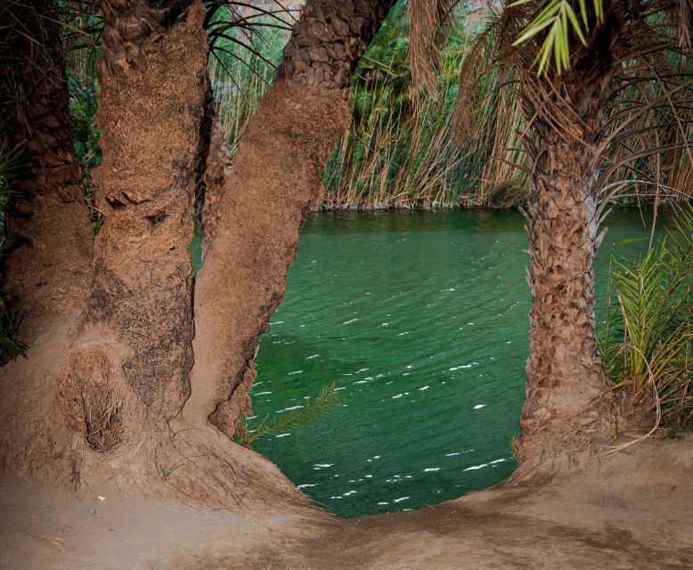 Crete: Preveli Tropical Beach and Palm Forest - Pickup from northern Crete and the ride south