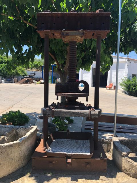Crete Private Tour: The Secrets of Wine, Olives & Honey - Is $604 good value for six people?
