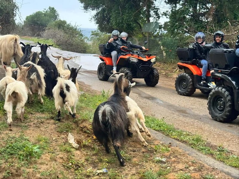 Crete: Quad Safari with Ghost Town Exploration - Getting started at ELA Quad Safari