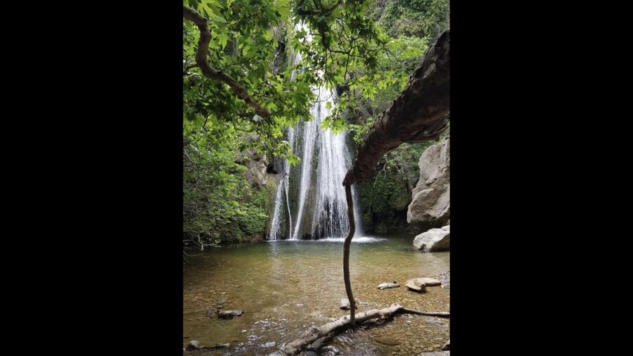 Crete: Richtis Waterfall Full-Day Tour with Olive Tasting - Meeting Crete’s ancient olive tree