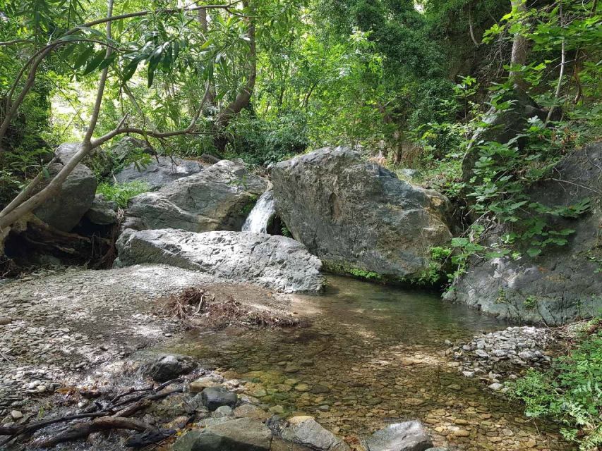 Crete: Richtis Waterfall Full-Day Tour with Olive Tasting - Why the small group changes the day
