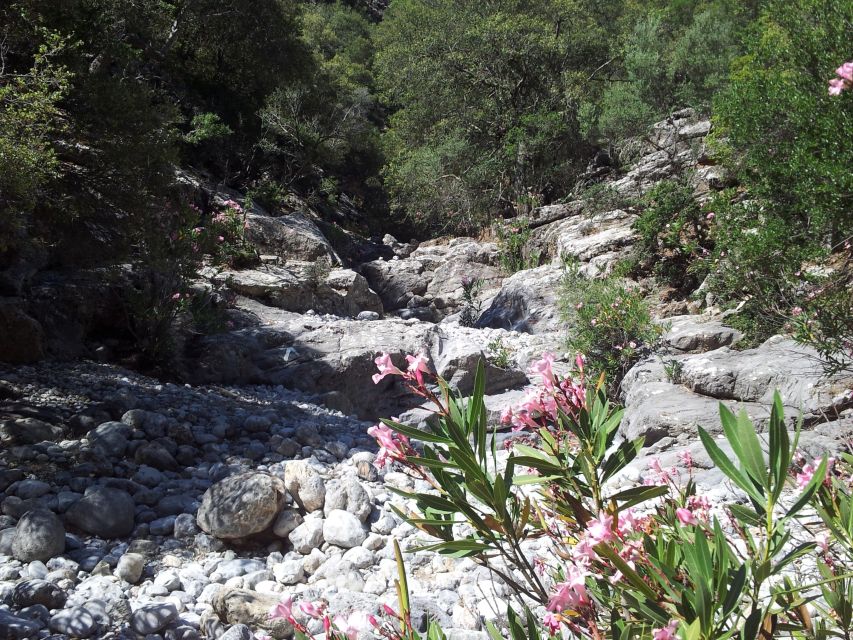 Crete: Richtis Waterfall Full-Day Tour with Olive Tasting - Is $111 good value?