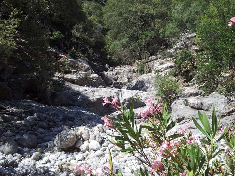 Crete: Richtis Waterfall Full-Day Tour with Olive Tasting - Who will enjoy this Richtis day most?