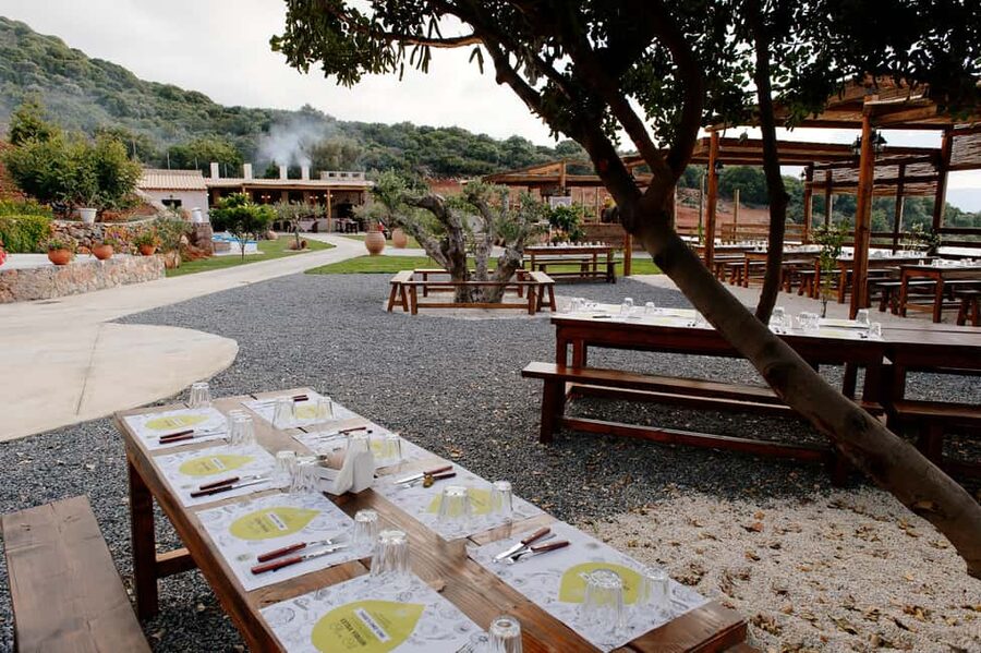 Crete: Road-trip to Lasithi Plateau & Olive Mill Farm - Lasinthos Eco Park and old Cretan crafts