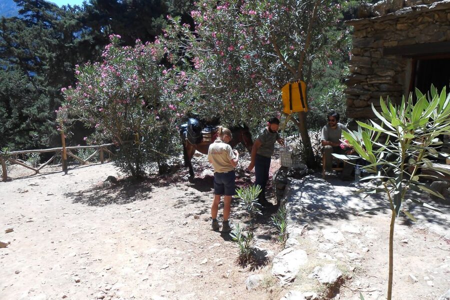 Crete: Samaria Gorge Hiking with transfer and expert Escort - Five things to know before you book