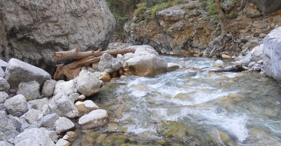 Crete: Samaria Gorge Hiking with transfer and expert Escort - From Northern Crete to the Omalos Plateau