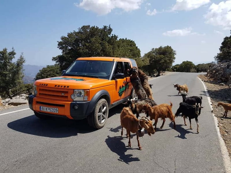 Crete: Sarakina Gorge, Forests, and South Coast Safari - Why this safari reaches beyond Crete’s resort strip