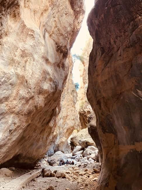 Crete: Sarakina Gorge, Forests, and South Coast Safari - Kroustas Forest and the mountain drive