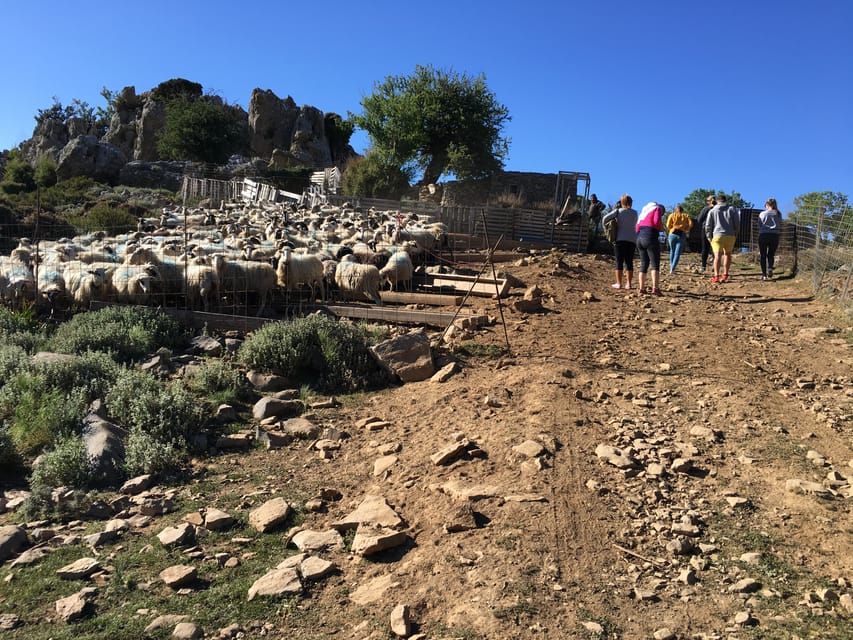 Crete: White Mountains Preserve Day Tour - The shepherd’s mitato at 1,350 meters