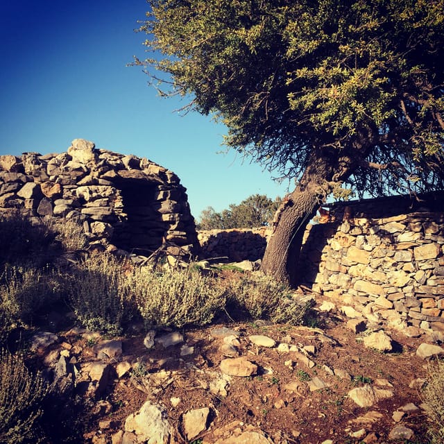 Crete: White Mountains Preserve Day Tour - From Chania to orange and avocado country