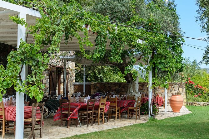 Crete Wine and Olive Oil Tour - What the tastings are really like