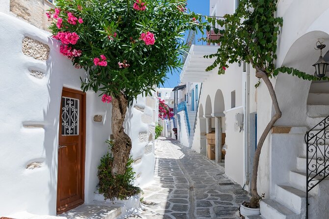 Day Tour to Santorini Island from Heraklion Crete - The Return to Heraklion