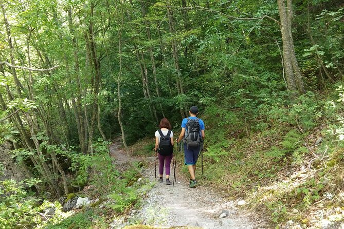 Discover Olympus & Dion: Private Day Trip from Thessaloniki - Drivers, vehicles, and the private format