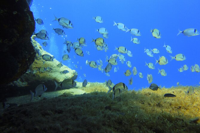 Discover Scuba Diving Adventure in Mykonos - Safety matters more than underwater sightseeing