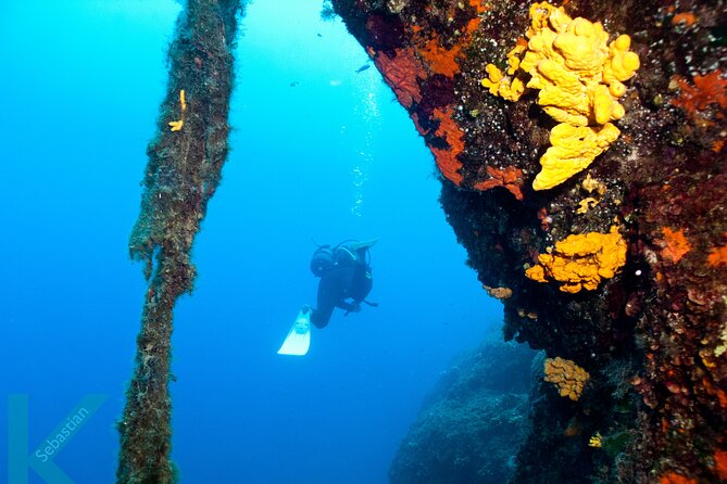 Discover Scuba Diving in the Caldera of the Volcano in Santorini - Key things to know before booking