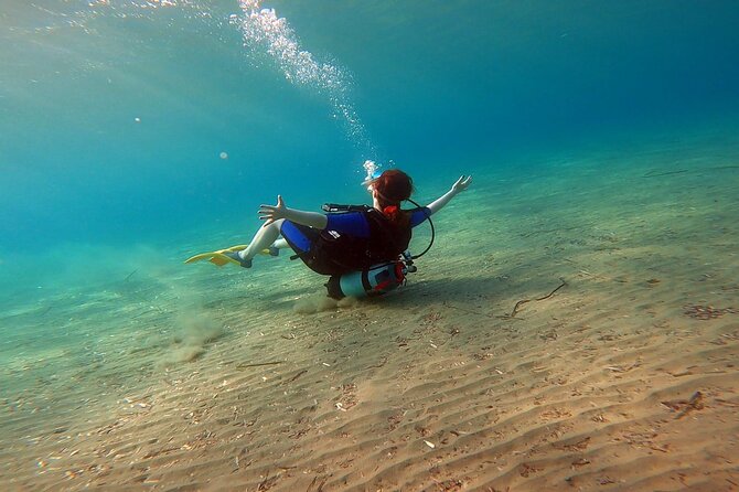 Discover Small Group Scuba Diving Experience in Nea Makri, Athens - What this Nea Makri scuba session feels like