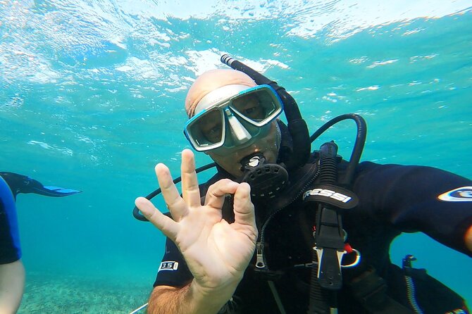Discover Small Group Scuba Diving Experience in Nea Makri, Athens - Shallow water practice before the main session