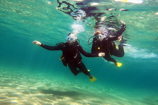 Discover Small Group Scuba Diving Experience in Nea Makri, Athens - Photos, videos, and what you actually take home