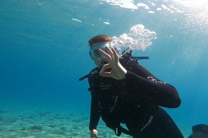 Discover Small Group Scuba Diving Experience in Nea Makri, Athens - Getting there and planning your day