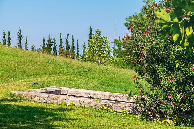 Discover Vergina and Pella: Day Trip to Macedonian Kingdom - Is $59.65 good value?