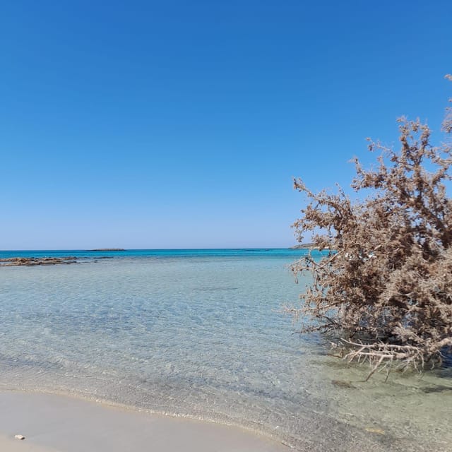 Elafonissi: Private Beach Day Trip with SUP - Practical booking details that matter