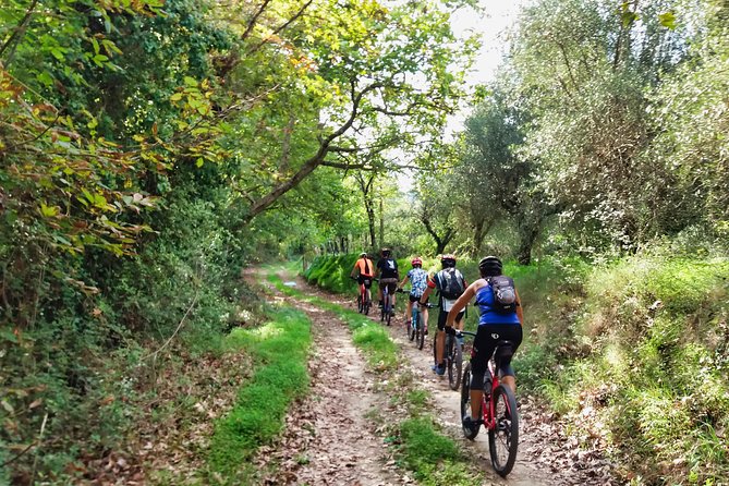 Eleftherna E-Bike and MTB Tour - Experience The Authentic Crete - What makes this Crete bike ride worth considering
