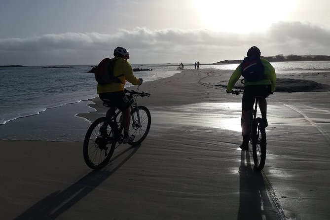 Eleftherna E-Bike and MTB Tour - Experience The Authentic Crete - Why the small group changes the experience